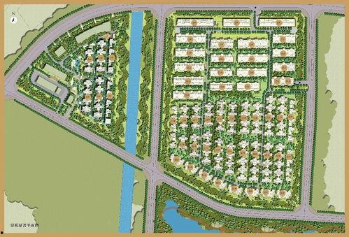 北京朝阳吃瓜群众网 c朝阳群众,揭秘京城“吃瓜群众”的日常生活