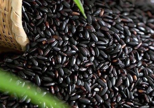 黑料正能量 吃瓜51在线黑料,吃瓜51在线黑料背后的真相与反思