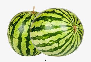 网红大瓜下载,下载背后的惊人真相