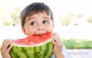 瓜老师 热门大瓜每日必吃大瓜合集,每日必吃大瓜合集深度解析